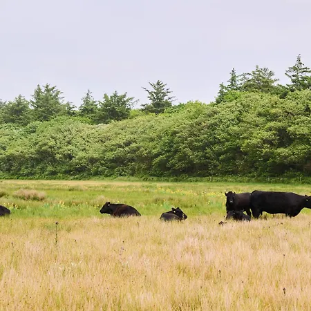 Droomsuites Texel 4 Personen By Droomvilla Daire Den Burg