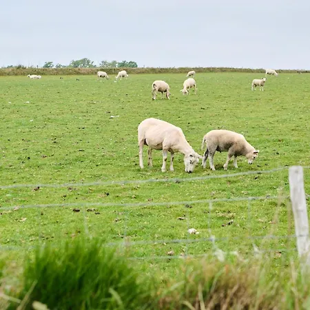 Droomsuites Texel 4 Personen By Droomvilla Daire Den Burg