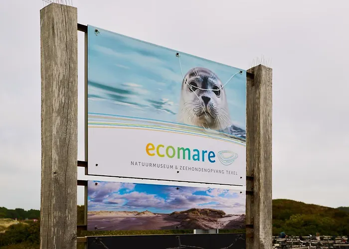 Appartement Droomsuites Texel 4 Personen By Droomvilla