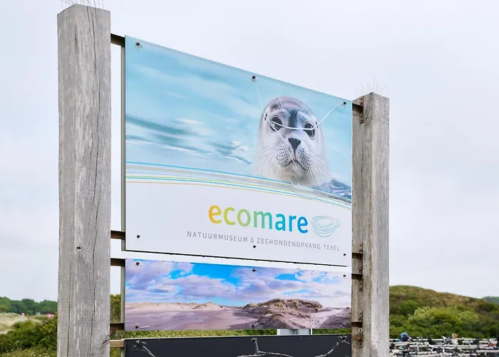 Appartement Droomsuites Texel 4 Personen By Droomvilla *