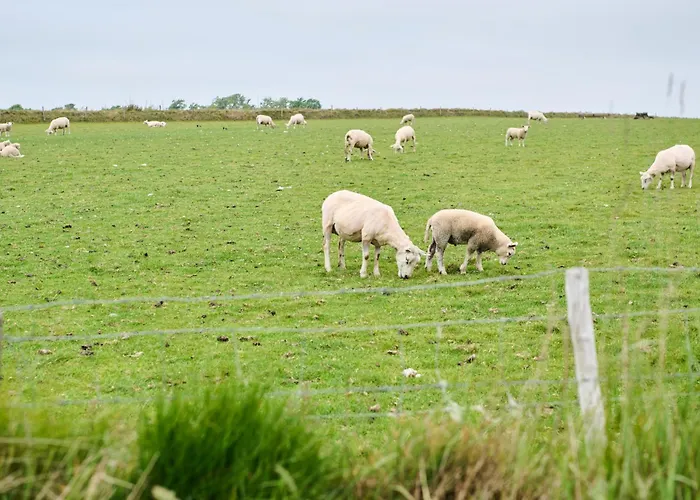 Droomsuites Texel 4 Personen By Droomvilla Appartement Den Burg