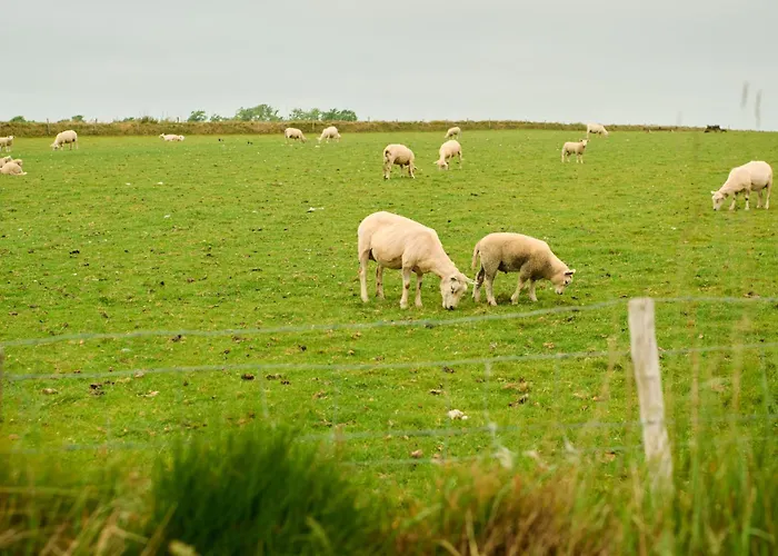 Droomsuites Texel 4 Personen By Droomvilla *