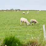 Droomsuites Texel 4 Personen By Droomvilla Apartment Den Burg