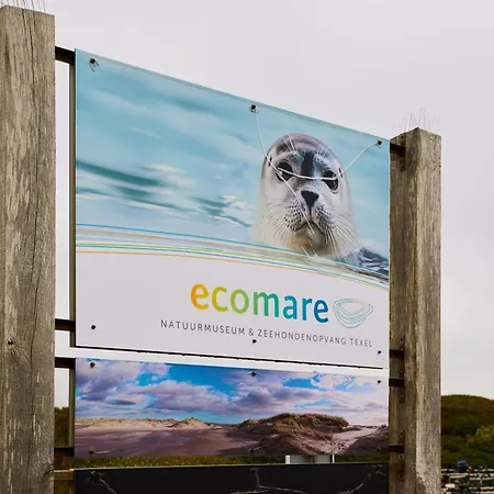 Lejlighed Droomsuites Texel 4 Personen By Droomvilla