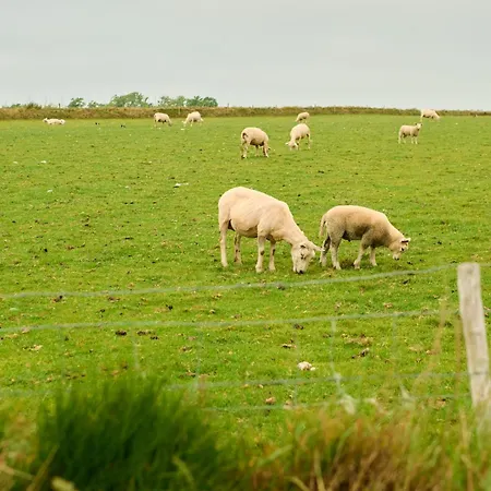 Droomsuites Texel 4 Personen By Droomvilla *